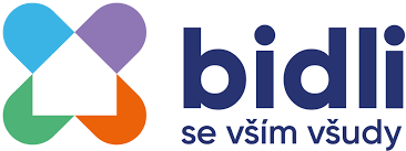 logo Bidli
